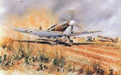 Spitfire VIII